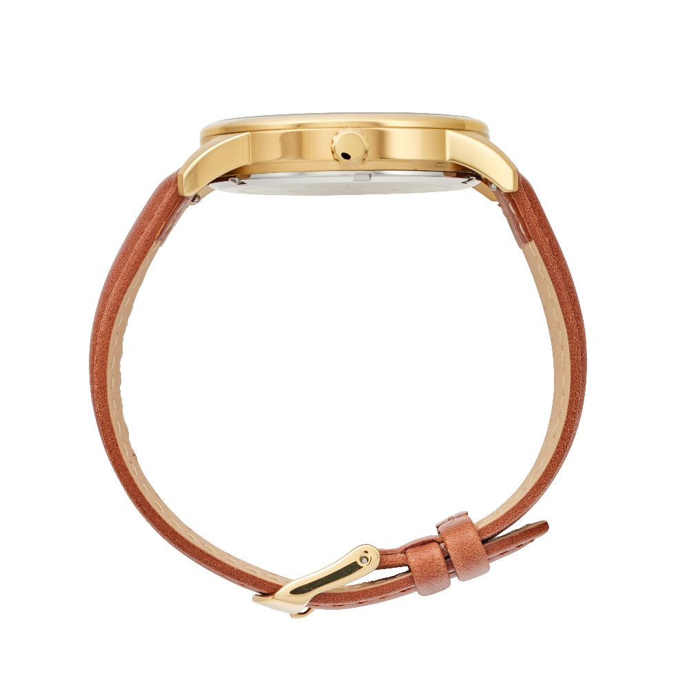 Taylor Steele Analogue Dual Time Zones– Green Dial, Gold Tone Case & Brown Leather Band Watch