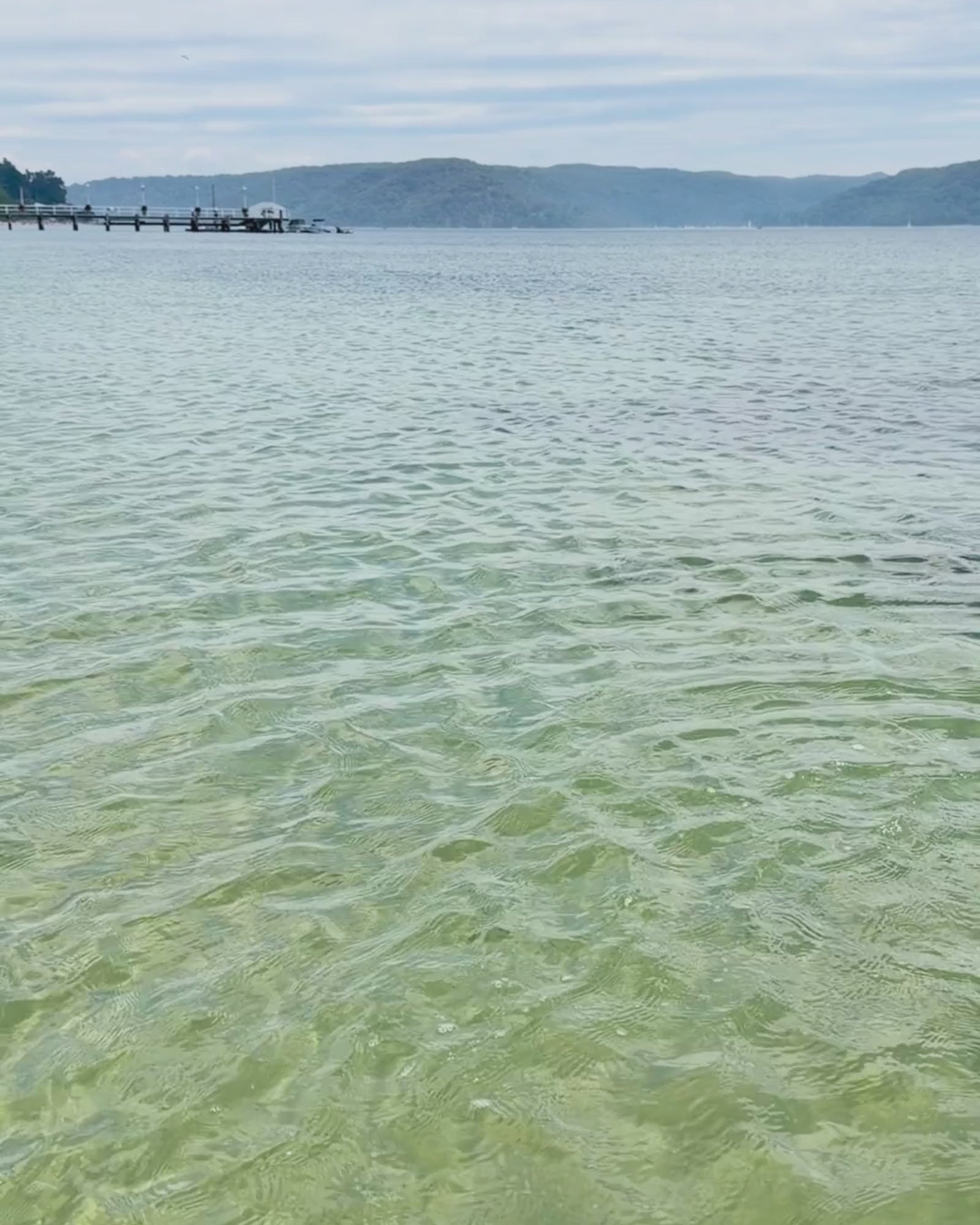 Raglan Digital Square Unisex Tide Watch– Gold Case, Black Dial & White Silicone Strap